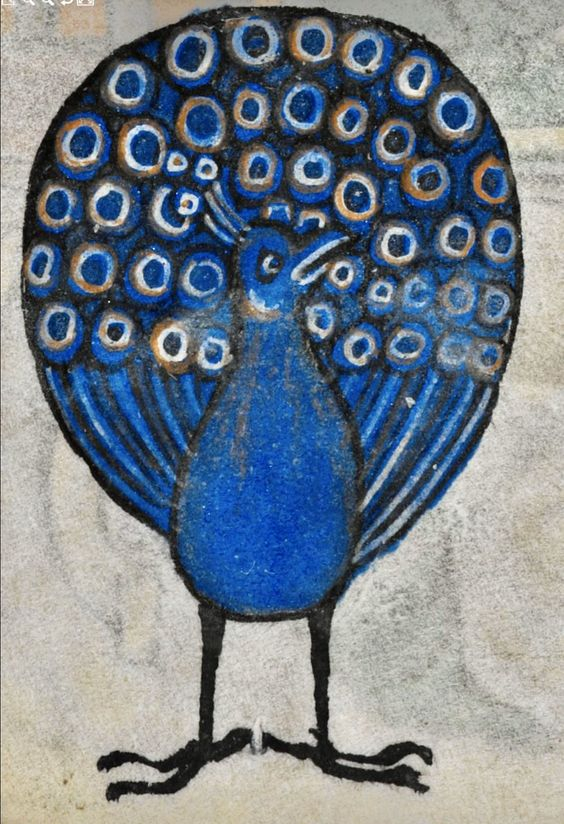 Blue peacock_Maastricht illumination